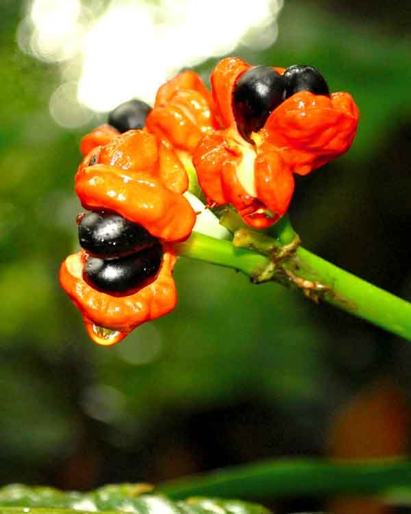 gallery_nosotros_4