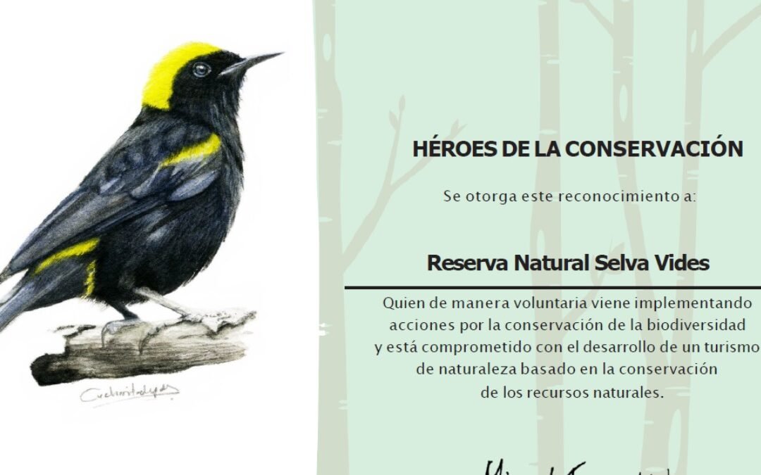 Reconocimientos
